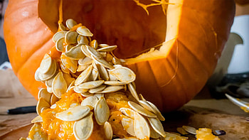 Alert for pumpkin seeds, Harmful for certain people, Health precautions, Allergy risk HD wallpaper