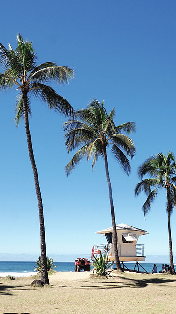 Hawaiian paradise, Pristine beaches, Majestic volcanoes, Lush greenery HD phone wallpaper