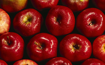 12 wonderful apples , Delicious and refreshing, Nature's treat, Crave-worthy HD wallpaper