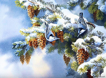 pretty birds, winter, birds, wood, snow HD wallpaper