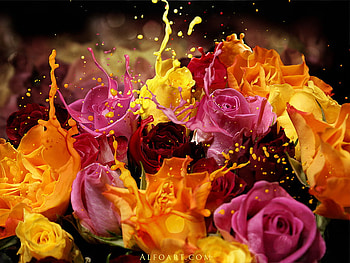 roses, rose, paint, cool, nice HD wallpaper