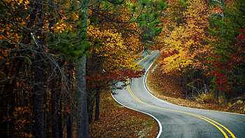 Landscape, Roads, Autumn HD wallpaper