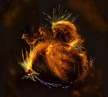 Fire Starter, gorgeous, cool, warm, beauty HD wallpaper