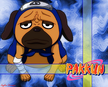 Pakkun, 1, 2, 3, 4 HD wallpaper