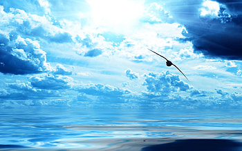 Nature, Sky, Clouds, Bird, Ocean, Flight HD wallpaper