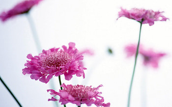 pict 92, abstract, love, other, cool, beautiful, nice HD wallpaper
