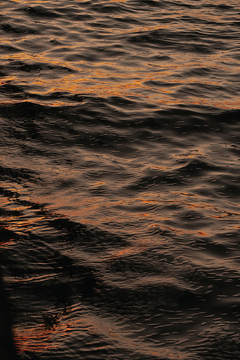 Nature, Water, Waves, Ripples, Ripple, Wavy HD phone wallpaper