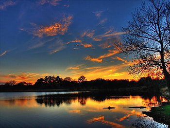 Lake Sunset, awesome, lightness, pc, , cena, colors, reflections, nice, sunbeam, background, scenery, bright, trees, fullscreen, calm, scenario, mirror, sunshine, sunsets, sundown, forests, panorama, multicolor, cenario, view, nature, computer, paisage, sunny, colorful, natural, graphy, , colours, serene, serenity, tranquil, beauty, quiet, amazing, , laguna, paysage, water, creeks, sun, scene, reflected, sunrises, beautiful, lagoons, , lakes, landscapes, multi-coloured, sunrays, hop, paisagem, cool, brightness, clouds, sky, rivers HD wallpaper