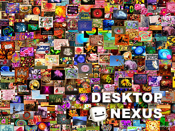 My Nexus , nexus, , , my , collage, abstract, contest, life, love, flowers HD wallpaper