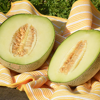 The Japanese, Melons HD phone wallpaper