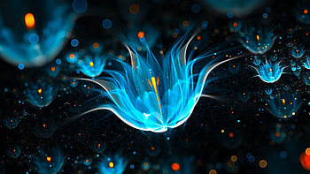 Abstract, Shine, Light, Brilliance, Neon HD wallpaper
