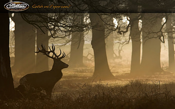 ... mathews bow hunting qarc info ... HD wallpaper