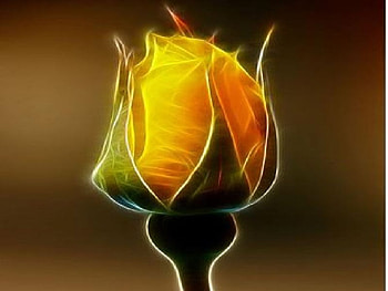 fractal fire rose, rose, fractal, fire HD wallpaper