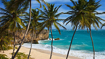 Bottom Bay Barbados, Scenic beach, Natural beauty, Relaxing atmosphere HD wallpaper