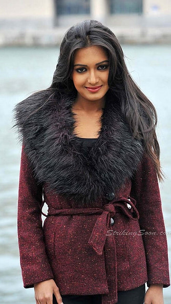 Catherine Tresa, South, Heroine HD phone wallpaper