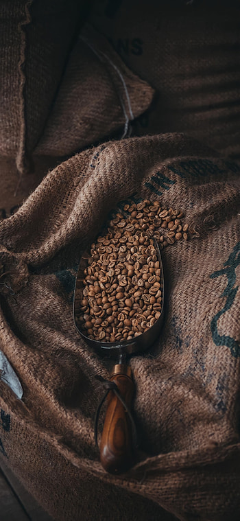 Coffe, kahve, leather_jacket HD phone wallpaper