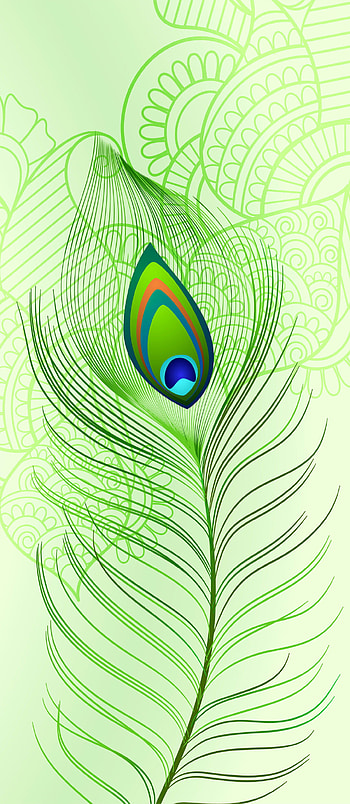 Sree Krishna feather, Peacock, aqua, art, Hindu, OM, Shanti HD phone wallpaper