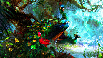 Brightly Peacocks, birds, flowers, feathers, painting HD wallpaper