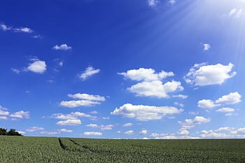A serene landscape featuring a vast green field under a bright blue sky with scattered clouds. HD wallpaper