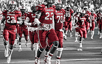 Gamecocks , Posted , background, Fan pride HD wallpaper