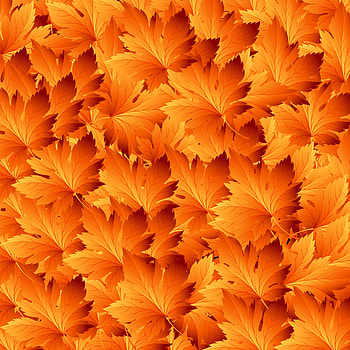 Autumn, Leaves, Patterns, Texture, Textures, Maple HD phone wallpaper