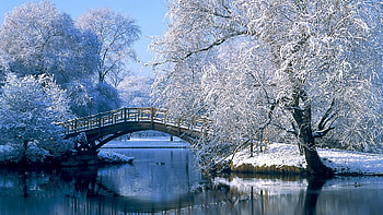 Landscape, Winter, Rivers, Bridges, Trees HD wallpaper