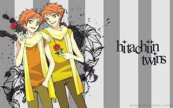 Kaoru And Hikaru, kaoru, host, highschool, club, ouran, hikaru HD wallpaper
