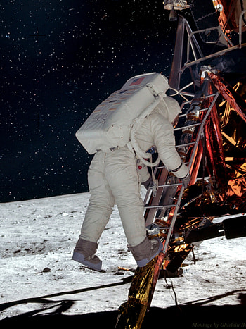 Apollo 11, NASA, Buzz Aldrin, Descending the ladder HD phone wallpaper