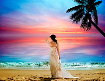 sunset, nature, woman, beach HD wallpaper