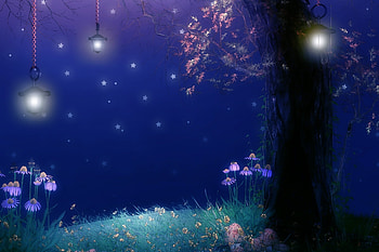 Landscape, Trees, Night HD wallpaper