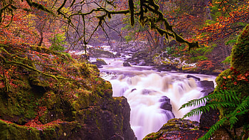 Perthshire River, Perthshire, Scotland, cascade, rocks, water, landscape, trees, forest HD wallpaper