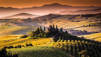 Tuscany Vineyards, morning, hills, trees, landscape, sky, italy, sunrise HD wallpaper