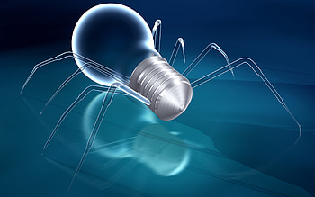 Spider Web |. PC and Mac HD wallpaper