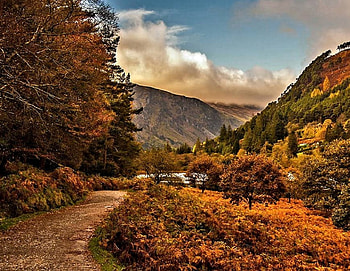Lower Glendalough, County Wicklow, Ireland, Nature, Autumn, , Trees HD wallpaper