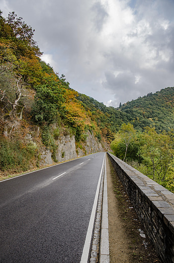 Nature, Trees, Rocks, Road, Markup, Dahl, Distance HD phone wallpaper