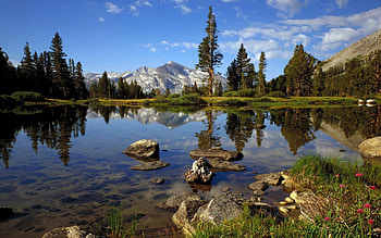 Yosemite National Park, California, river, landscape, clouds, trees, sky, reflections HD wallpaper