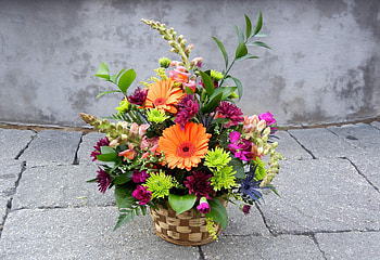 Flowers, Chrysanthemum, Gerberas, Basket, Composition, Combination HD wallpaper