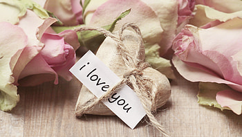 Love, Words, Heart, Confession, Rope HD wallpaper