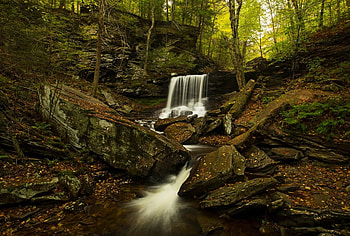 Waterfall, nature, green, tree HD wallpaper