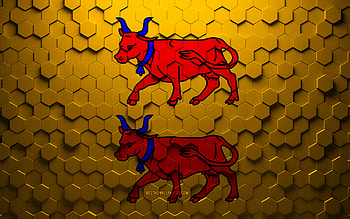 Flag of Bearn, honeycomb art, Bearn hexagons flag, Bearn, 3d hexagons art, Bearn flag HD wallpaper