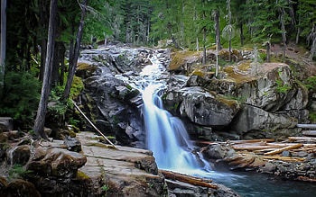 Paradise Washington State, river, cascade, rocks, usa, trees HD wallpaper