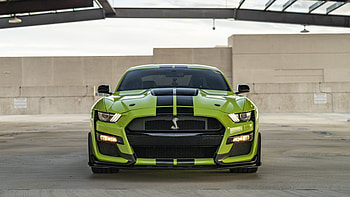 Shelby GT500, usa, muscle, mustang, ford, america HD wallpaper