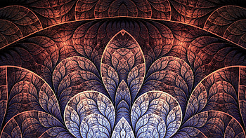 Floral pattern, fractal, abstract HD wallpaper