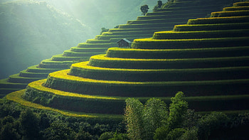 Bali, Tropical wonderland, Island paradise, Bali's natural splendor HD wallpaper