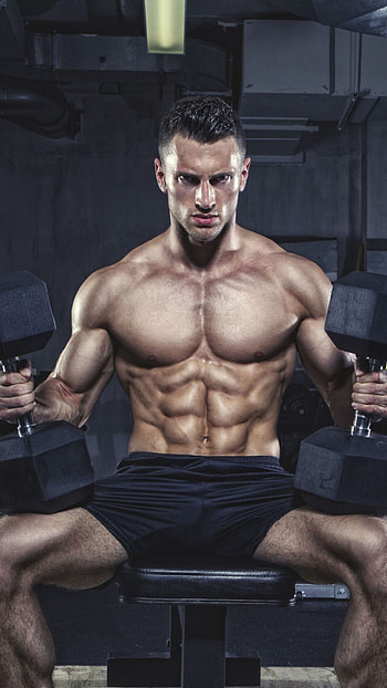 Bodybuilding on your , Motivational backgrounds, Fitness inspiration HD phone wallpaper