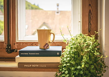 A warm scene featuring a mug and books by a sunny window, perfect for relaxation and reading. HD wallpaper