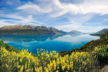New Zeland, new zealand, sky, flowers, lake HD wallpaper