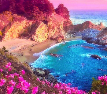 Paradise Beach, sea, beaches, attractions in dreams, paradise, creative pre-made, summer, love four seasons, getaways, nature, flowers, islands HD wallpaper
