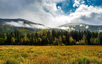 Tumbler Ridge, British Columbia, sky, forest, canada, hills, trees, clouds HD wallpaper