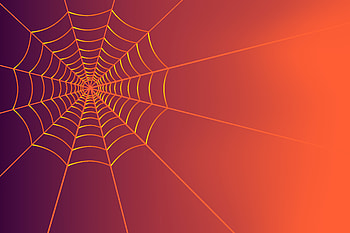 Art, Web, Vector, Lines, Plexus HD wallpaper